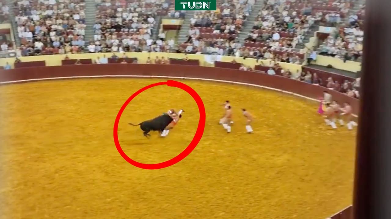 Muere joven forcado Manuel Trindade en corrida de toros en Portugal