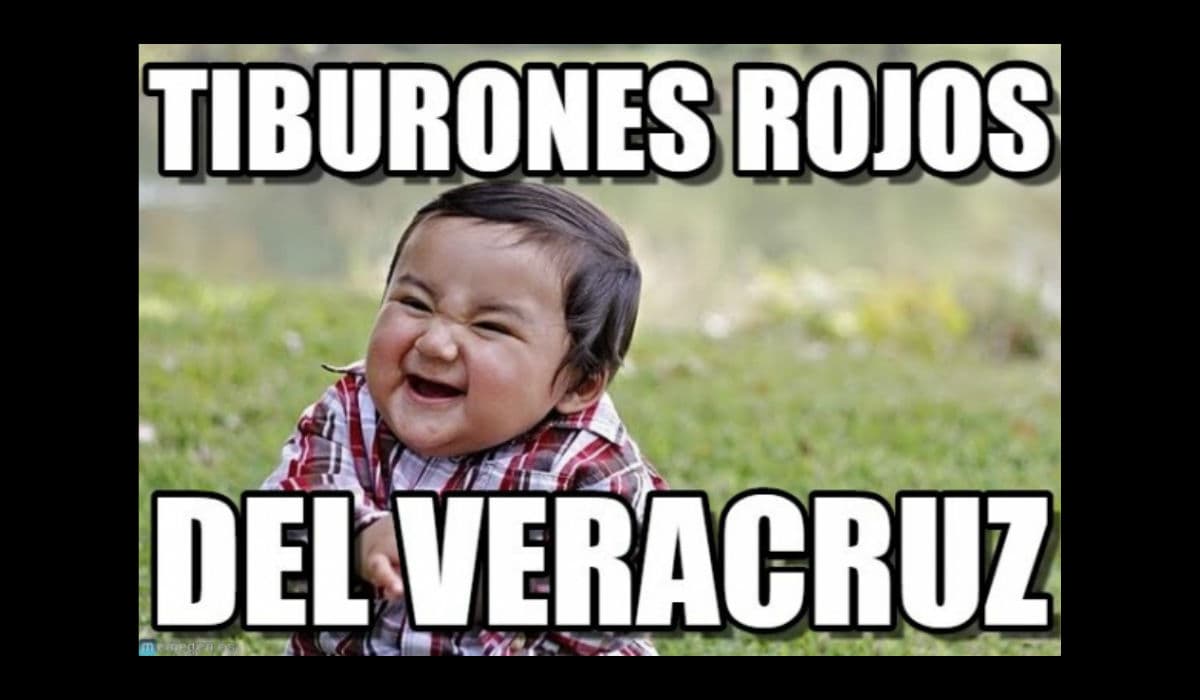 Memes toluca y pumas liguilla