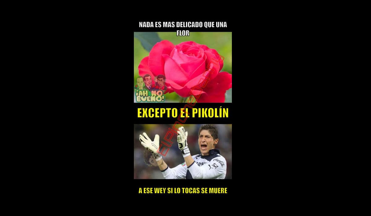 Memes toluca y pumas liguilla