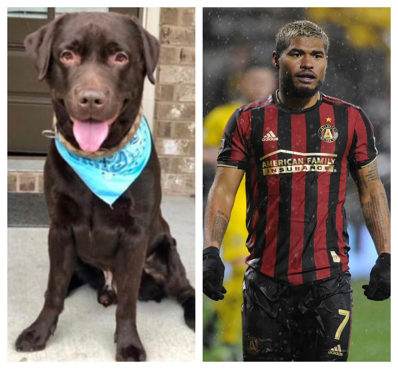 Hachiko y Josef Martínez