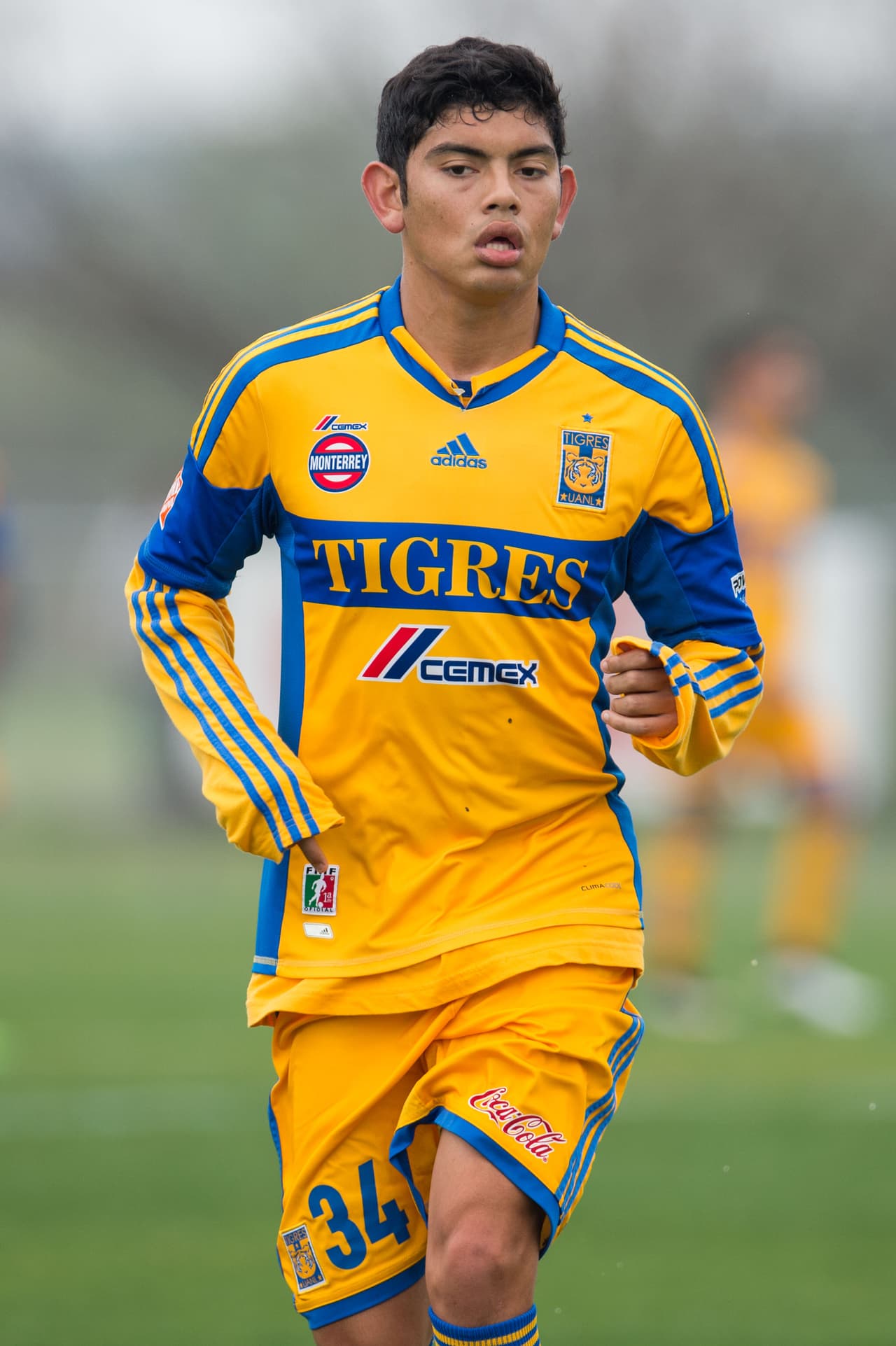 Pero en Europa pasó sin pena ni gloria y terminó volviendo a Tigres en 2015, aún en categorías menores.