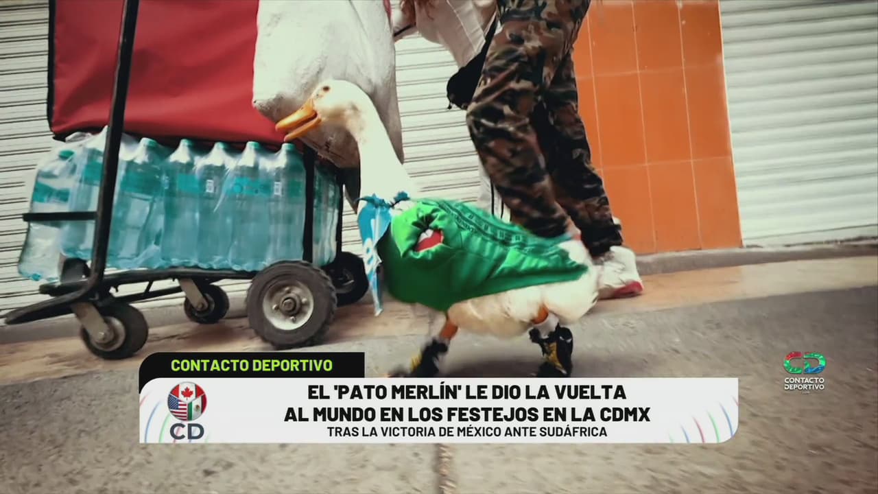 El Pato Merlín, la mascota más viral del Mundial 2026