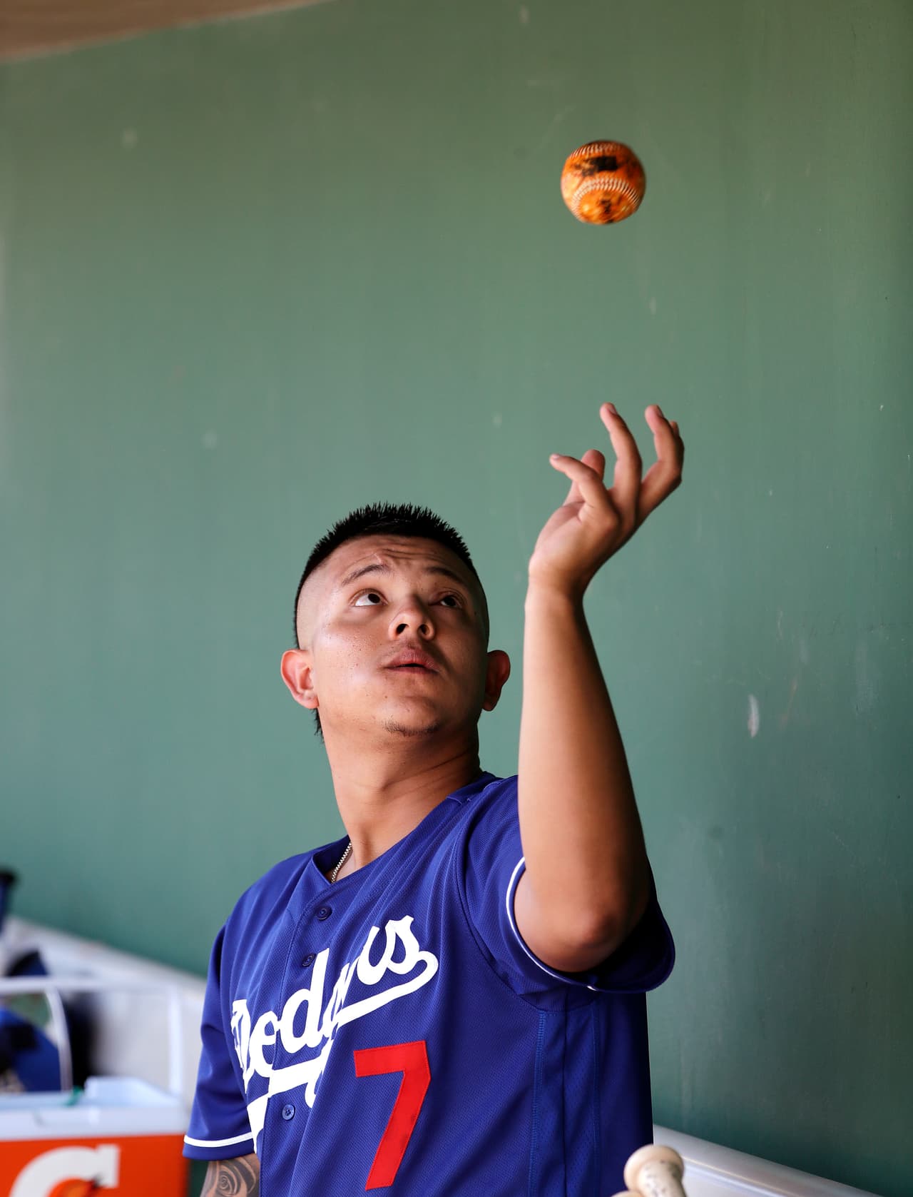 Major League Baseball y el sindicato de jugadores acordaron una reglamentación por violencia doméstica en 2015, otorgándole al comisionado la facultad de investigar e imponer las sanciones correspondientes.