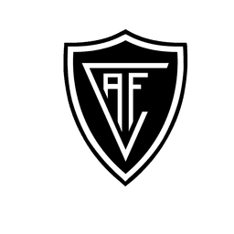 Académico de Viseu