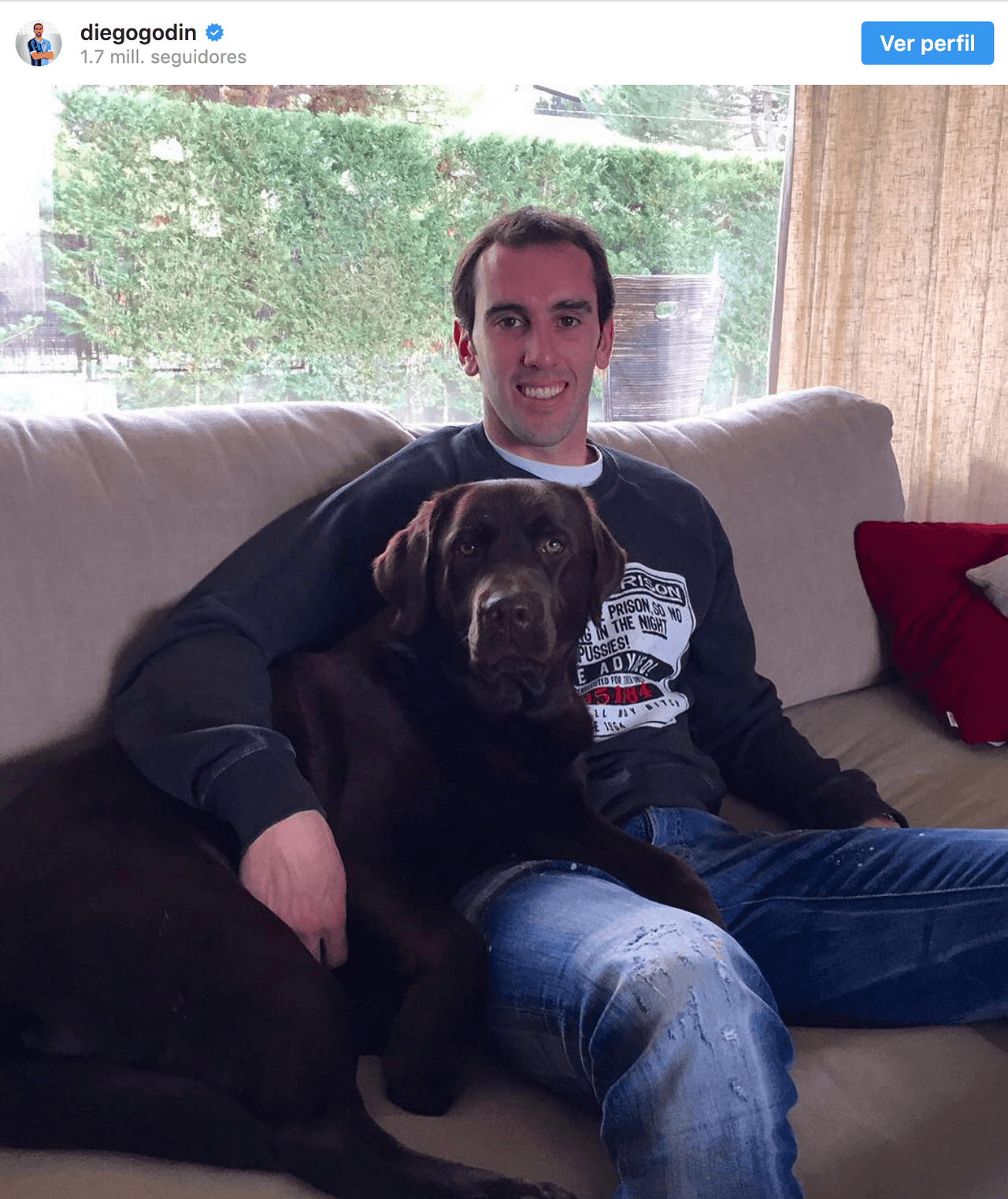 Diego Godín| Futbolista