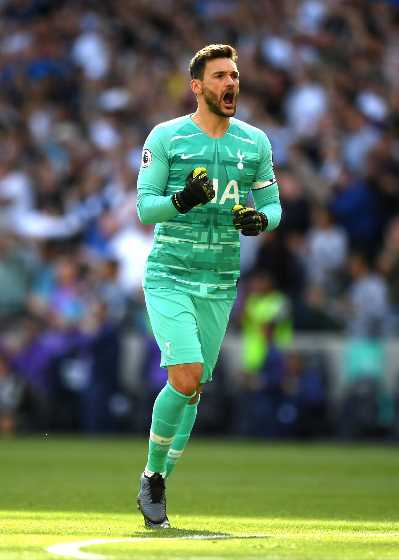 Hugo Lloris del Tottenham