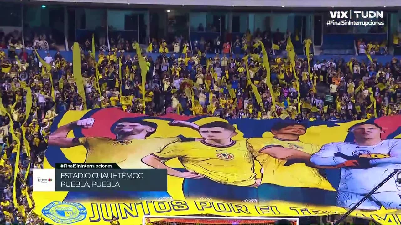 Tifo