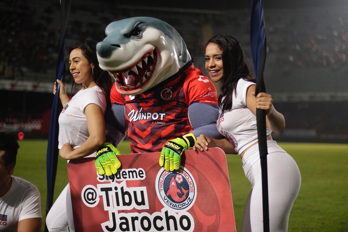 Porristas en el juego Veracruz vs Atlas.