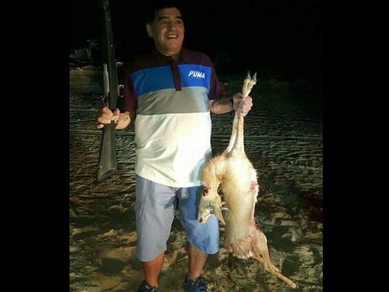 Maradona habría cazado a un animal en peligro de extinción
