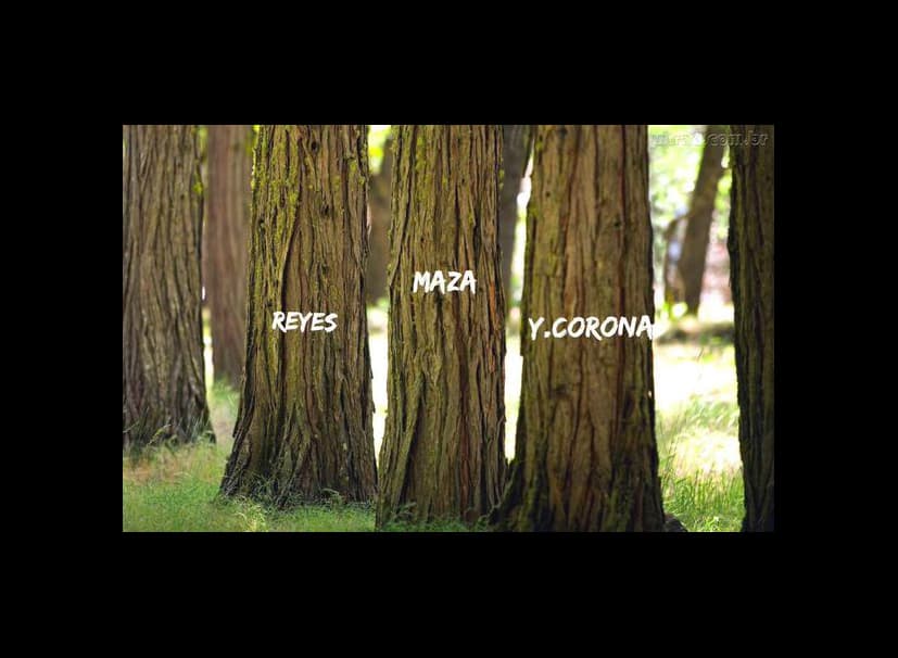 Tras el polémico triunfo del Tri sobre los Ticos, regresaron los memes del #NoEraPenal.