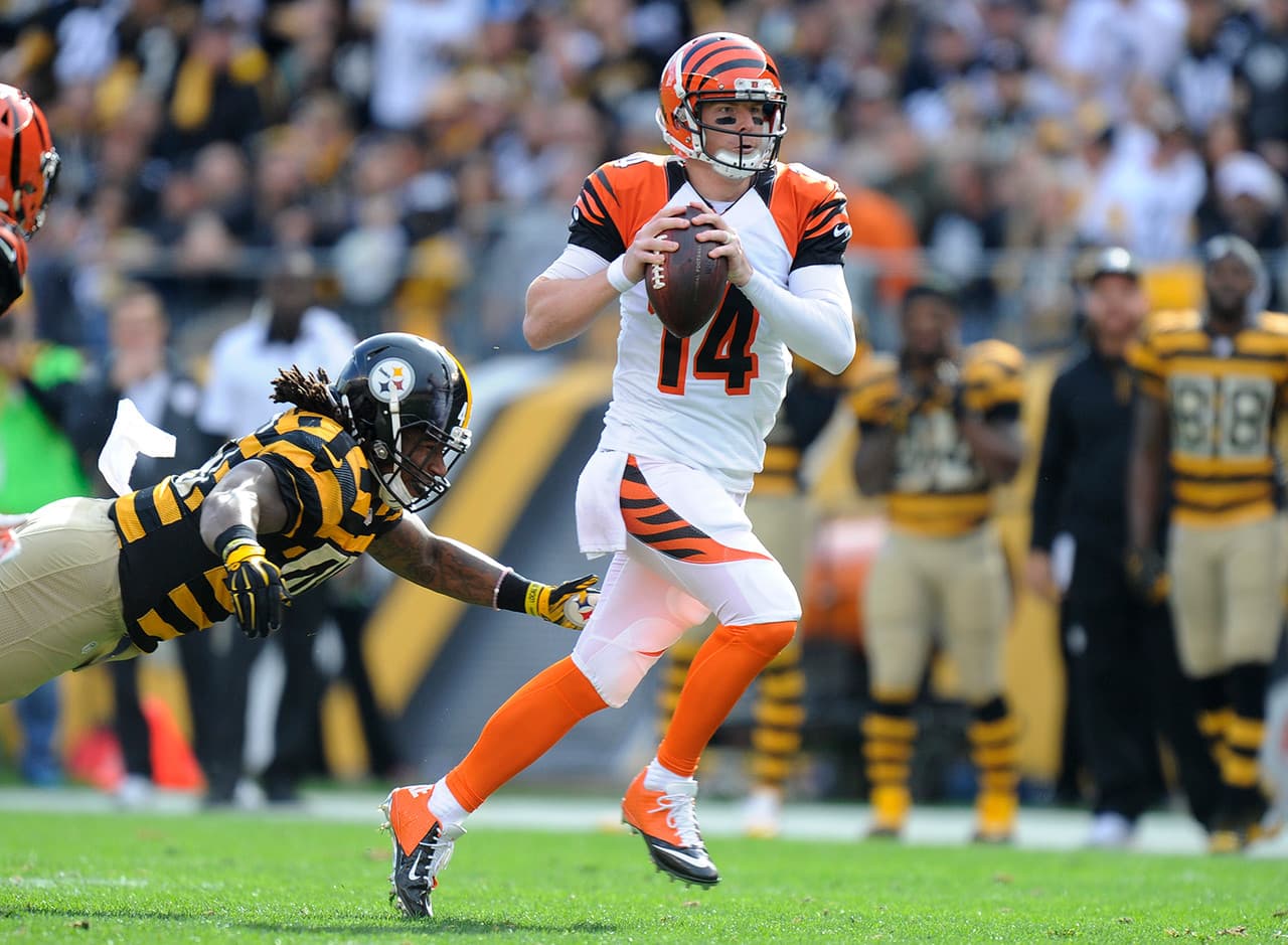 AFC Norte: Andy Dalton, QB, Bengals.- Dalton pocas veces es incluído en la conversación de los mejores quarterbacks jóvenes en la NFL, pero el jugador de quinto año ha llevado a su equipo a cuatro playoffs consecutivos y ganó el título divisional en 2013. Hasta ahora en esta temporada, Dalton tiene una relación 15:4 touchdown a intercepciones con un rating de pasador de 107.6 puntos y no ha perdido con los Bengals.
