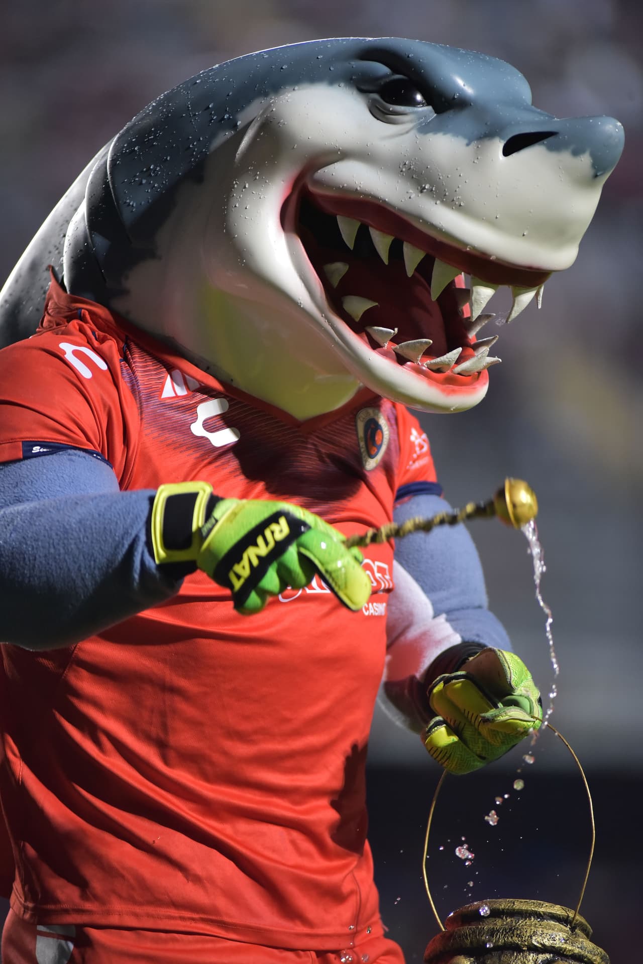 La mascota de los Tiburones Rojos busca acabar con la mala racha del equipo y tratan de evitar la brujería.
