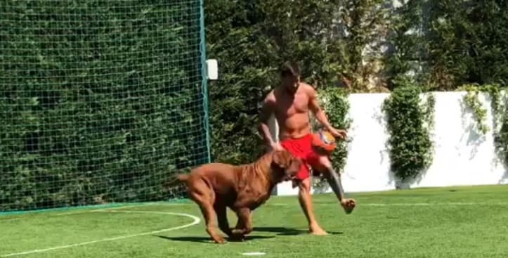 ¡Puede hasta con 'Hulk'! Lionel Messi le hace ‘sombreritos’ a su propio perro