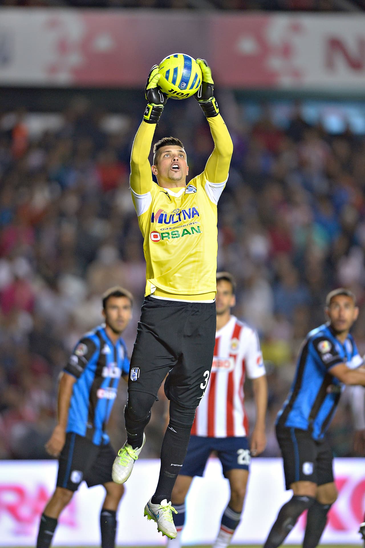 Sin embargo, con el paso de las semanas ha confirmado que se trató de una apuesta acertada por parte de los emplumados.