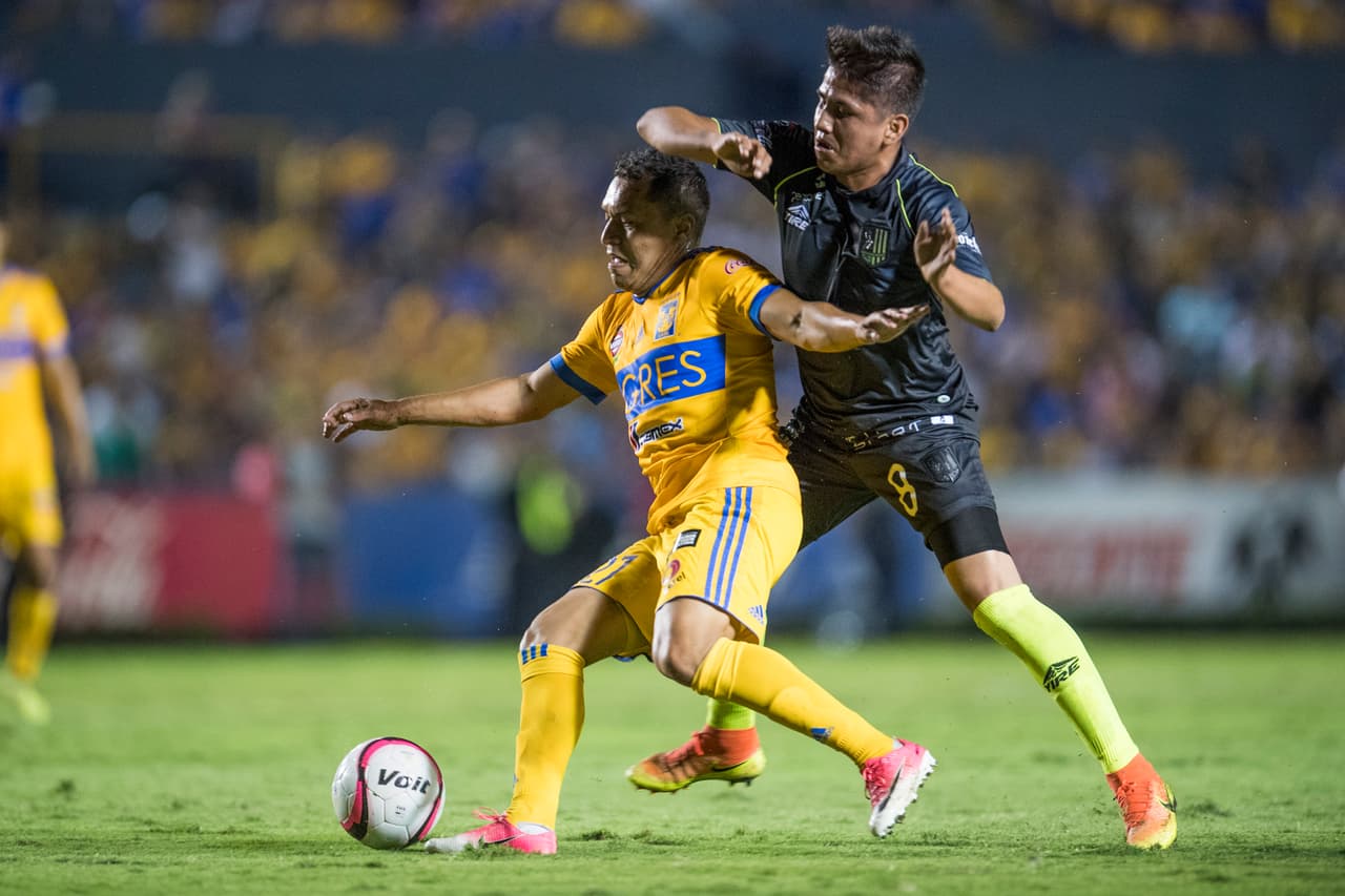 Pachuca, Chivas, Correcaminos, Cafetaleros, Chiapas, Coras y Zacatepec han sido sus equipos como profesional. Lamentablemente, no ha podido asentarse.