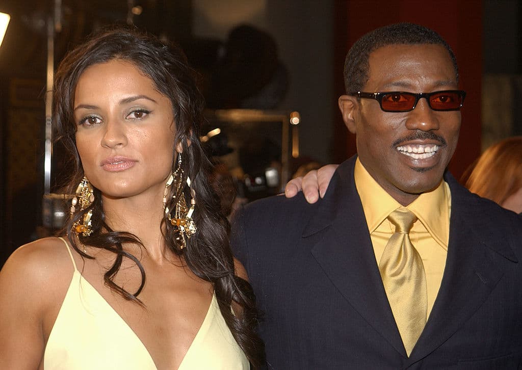 La historia cuenta la vida de Blade, un hombre mitad humano mitad vampiro que se encarga de proteger a la humanidad de los sedientos vampiros.