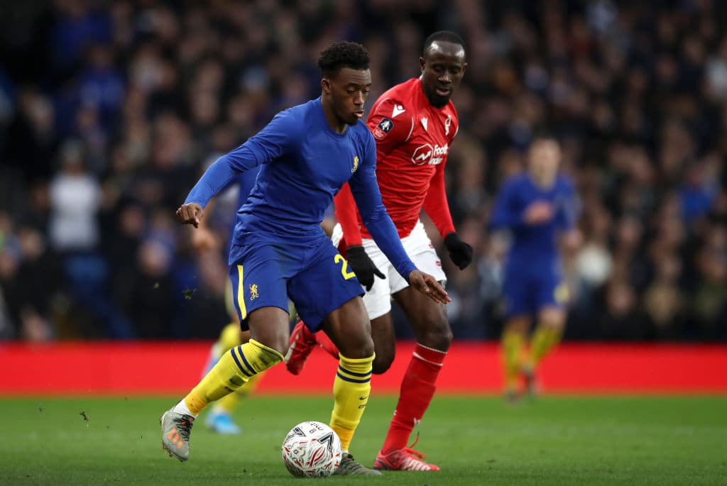 Ya que al ser casi invisible se pudo apreciar mejor.