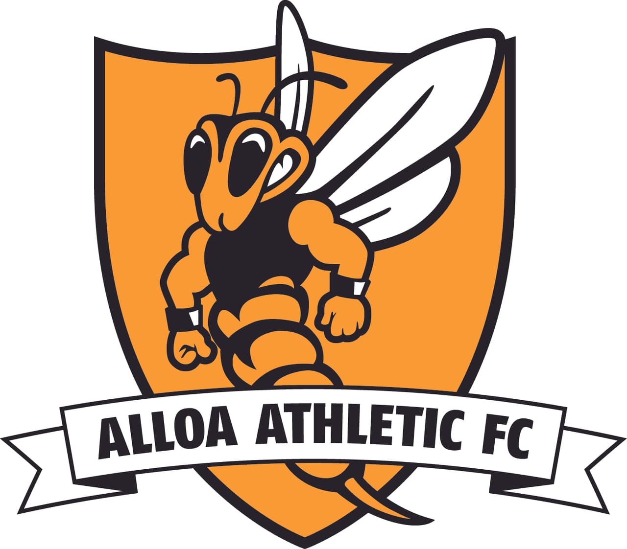 <b>15. Alloa Athletic F.C. </b>(Escocia)