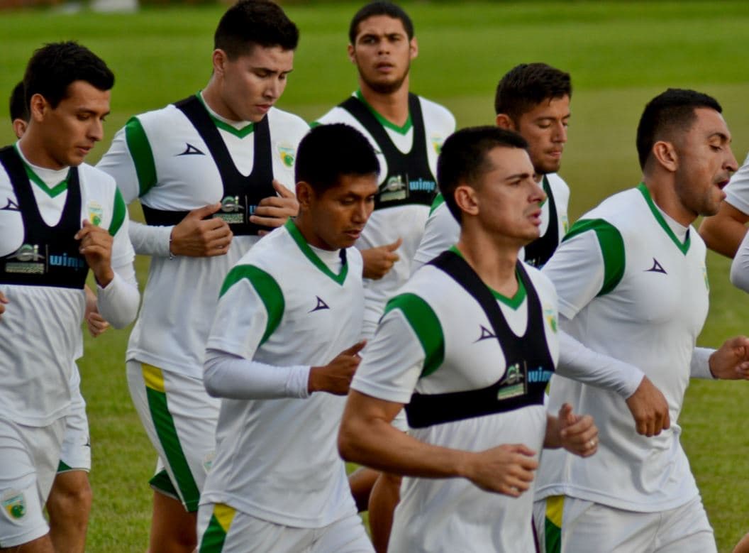 Loros de Colima no jugará el Clausura 2020