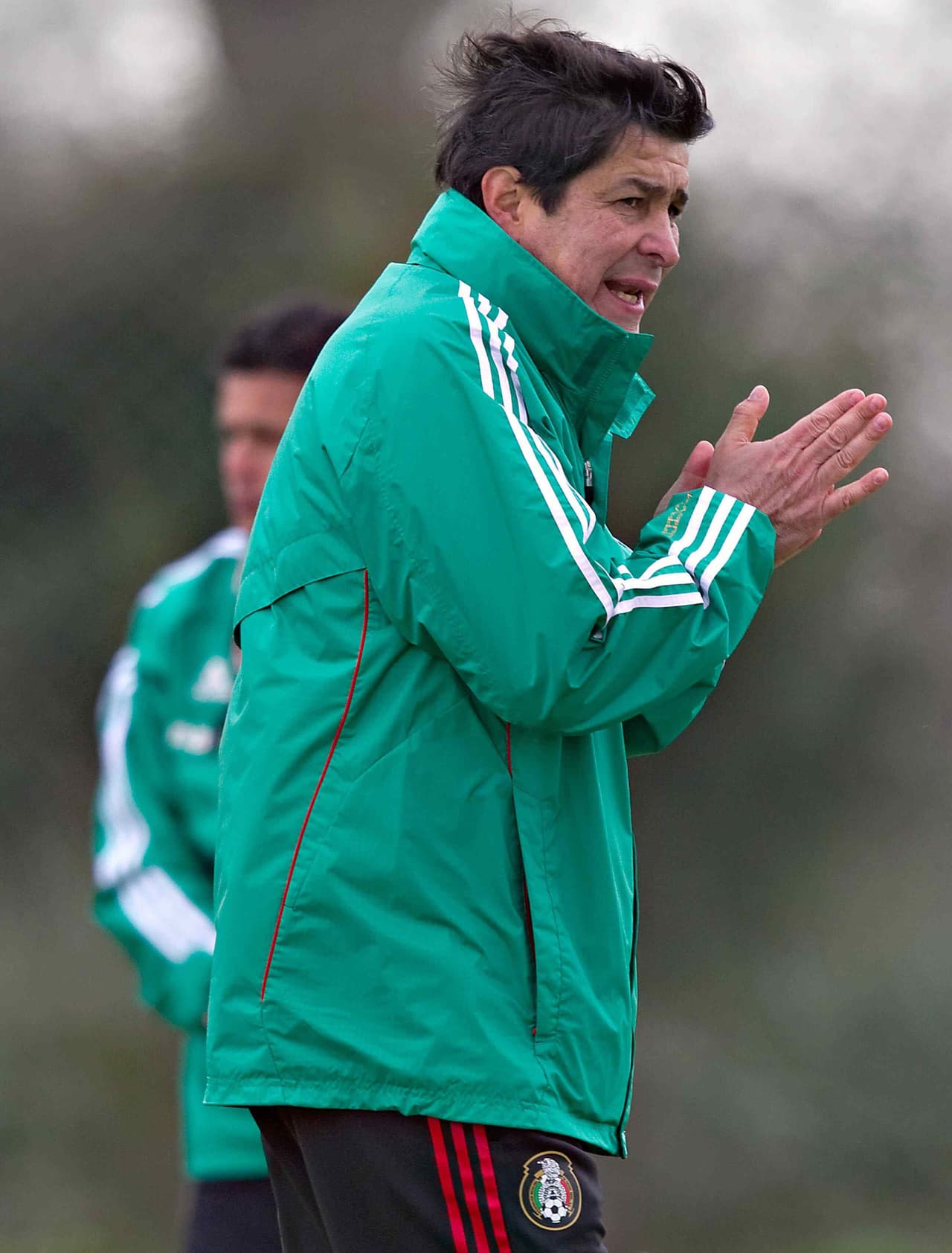 En preparación para los Juegos Olímpicos de Londres 2012, Luis Fernando Tena recibió su segunda oportunidad como interino y los resultados no fueron buenos, quedando en último lugar del máximo certamen de la CONMEBOL.