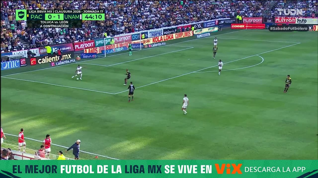 Alan medina de carton