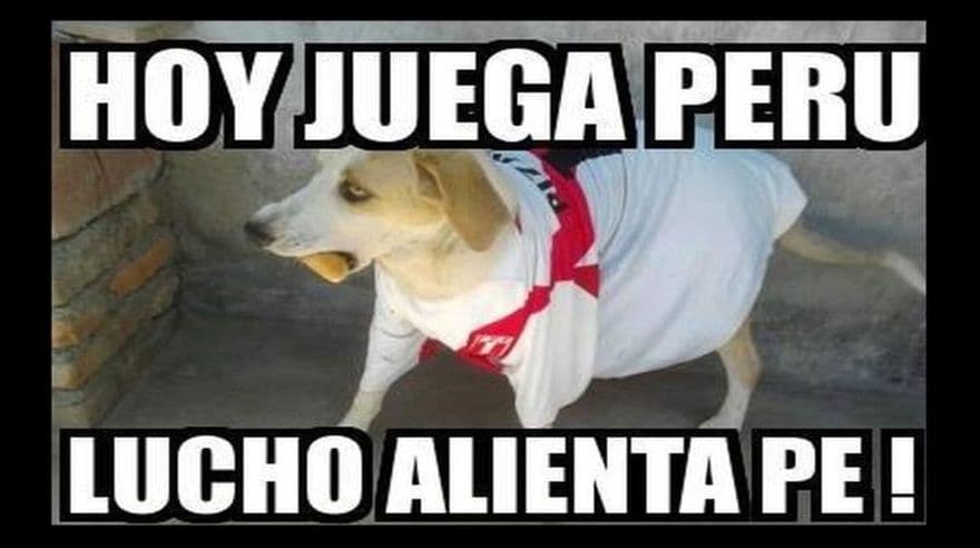 Los memes del triunfo 7-1 de Brasil contra Haití y del empate de Ecuador y Perú 2-2.