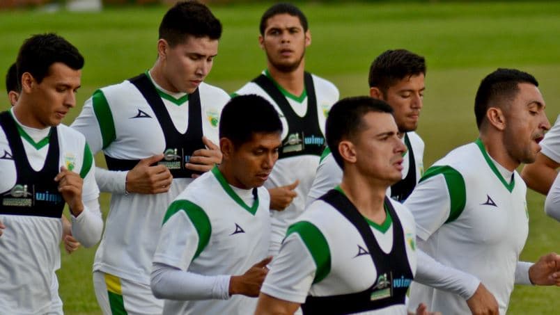 Loros de Colima viven situación parecida a la del Veracruz