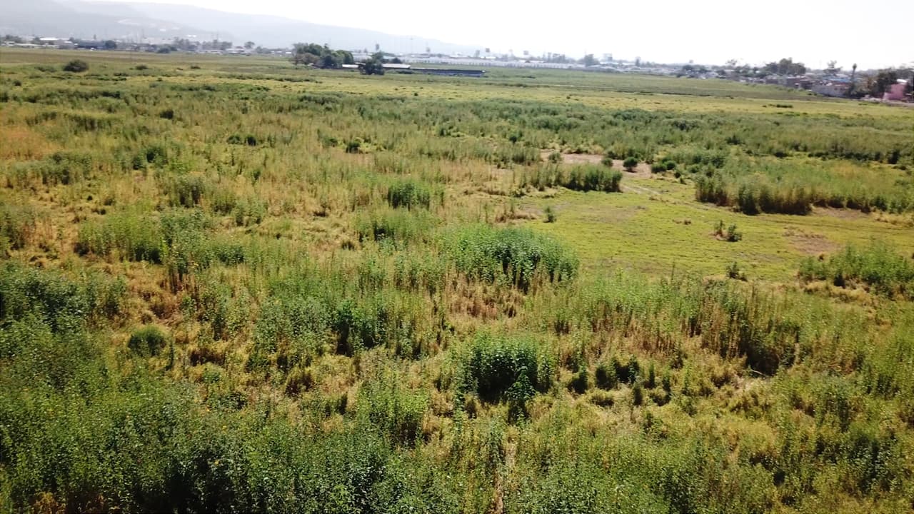 Terreno para la construcción del nuevo Estadio del León