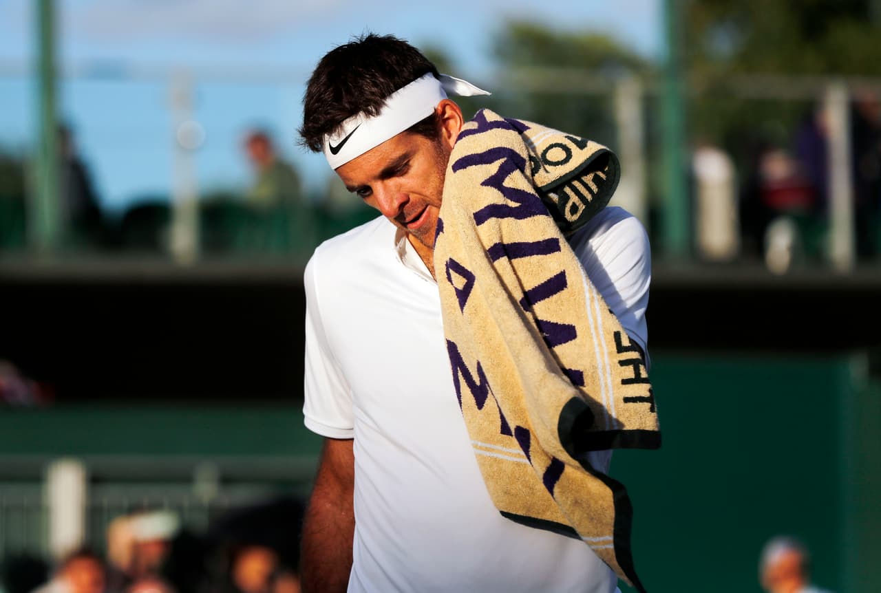 Juan Martín Del Potro.