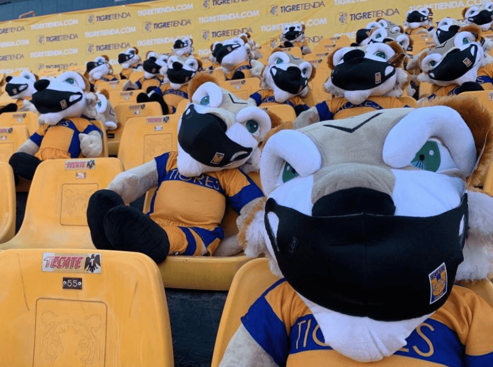 Tigres contó con el apoyo de su afición en el estadio ante Pachuca en la Fecha 2 del Liga BBVA MX