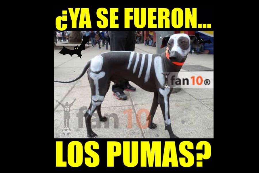 Memes de la jornada 15 del Apertura 2015