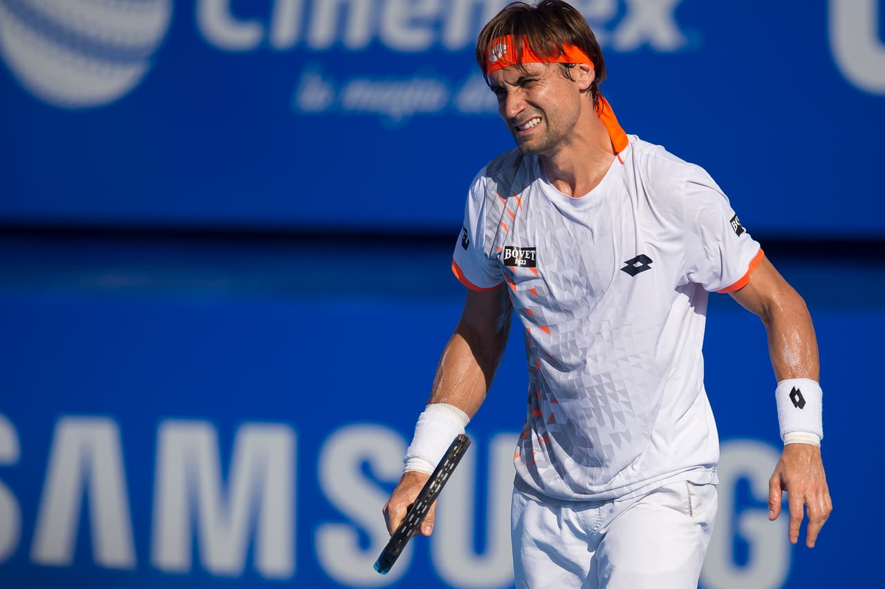 David Ferrer