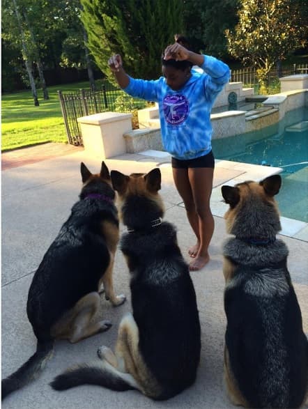 ¡Sólo ella tiene 3! la sensación de la gimnasia en Río 2016, 
<b>SIMONE BILES</b>, tiene tres pastor alemán.