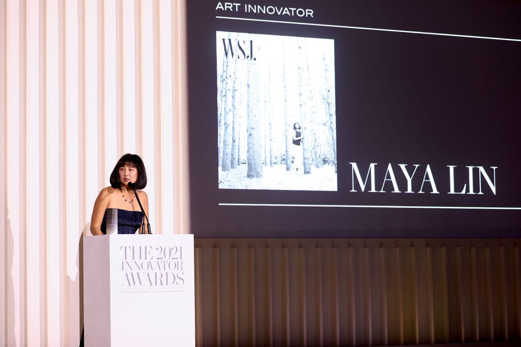 La artista se adentró en un nuevo terreno 40 años después de irrumpir en escena con su Monumento a los Veteranos de Vietnam.