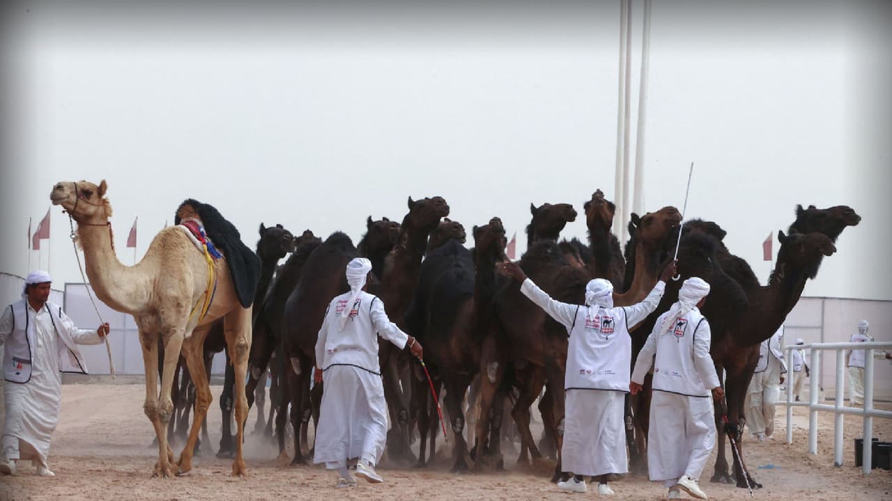 Qué idioma se habla en Catar
