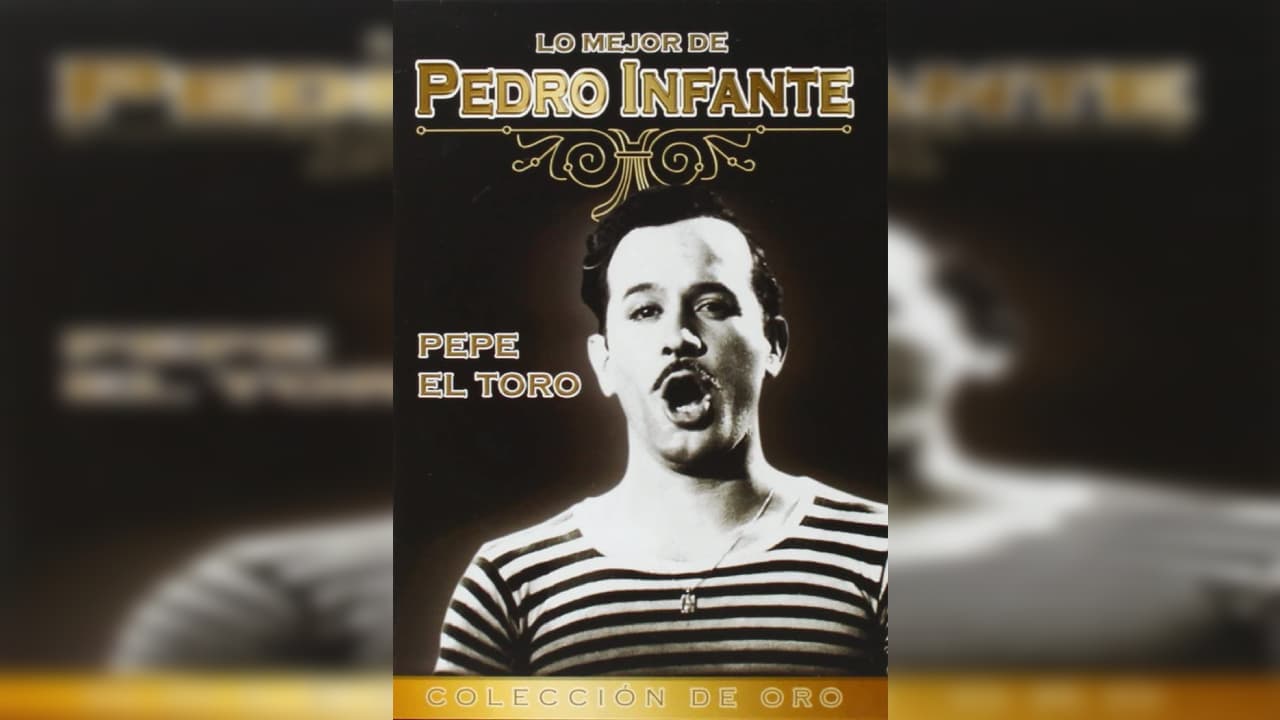 La vida sencilla y los valores de lealtad y solidaridad de la gente humilde en el ambiente del boxeo profesional, son la trama de esta película, donde Pepe el Toro muestra el esfuerzo y las tragedias que se viven en esta profesión.