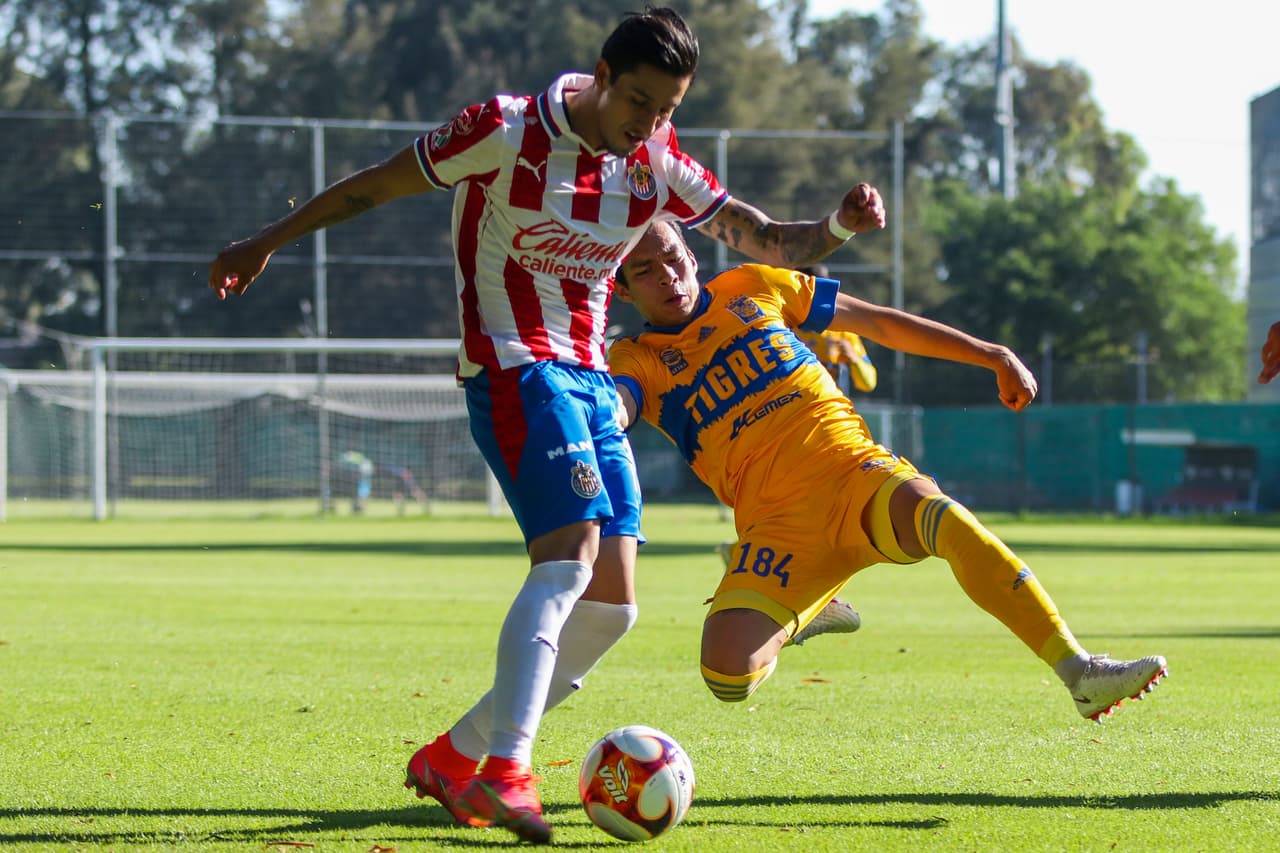 Tigres empata ante Chivas en la Sub-20; se quedan sin Liguilla