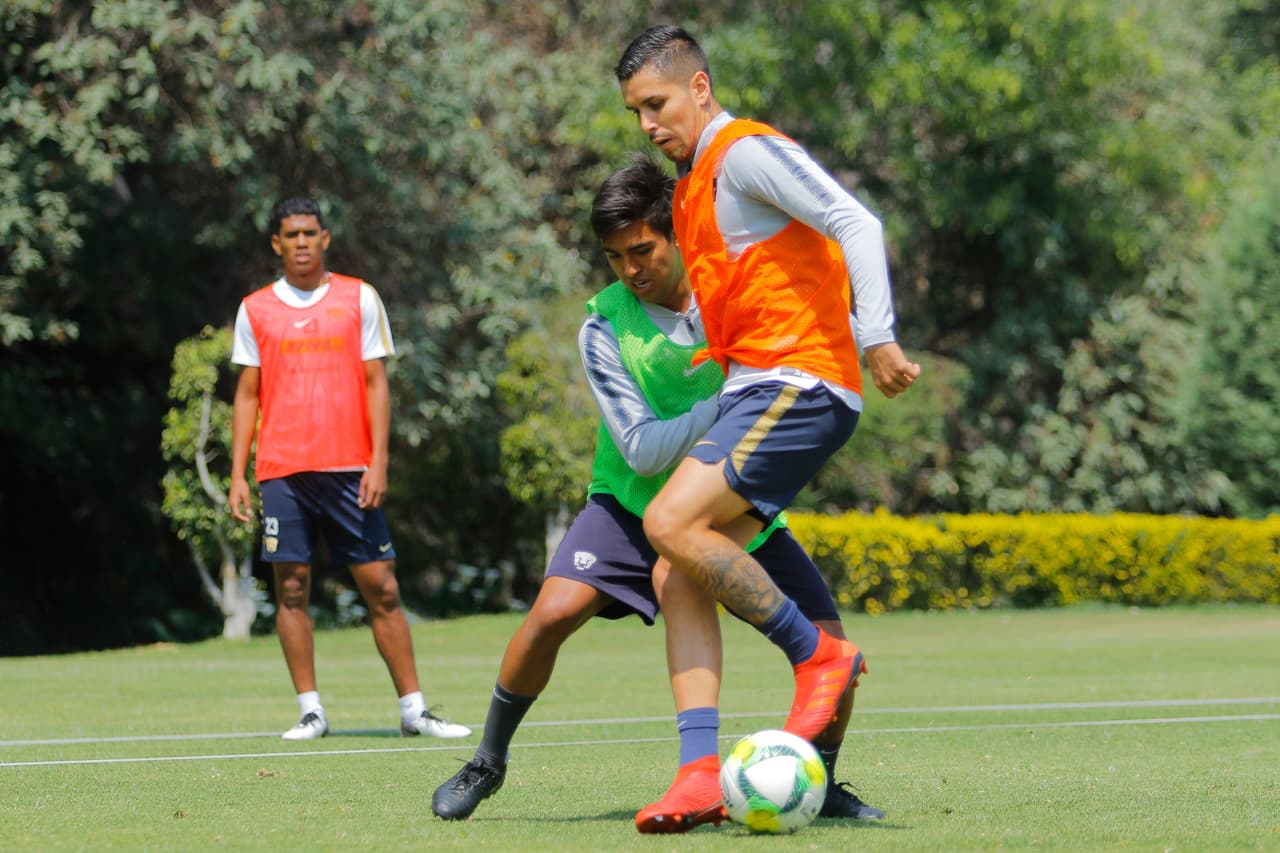 Pumas UNAM apenas suma 10 puntos en el lugar 14 de la Liga MX y por eso, en medio del receso por los amistosos de fecha FIFA, el equipo de Bruno Marioni ajusta detalles para pelear por un cupo a la Liguilla del Clausura 2019.