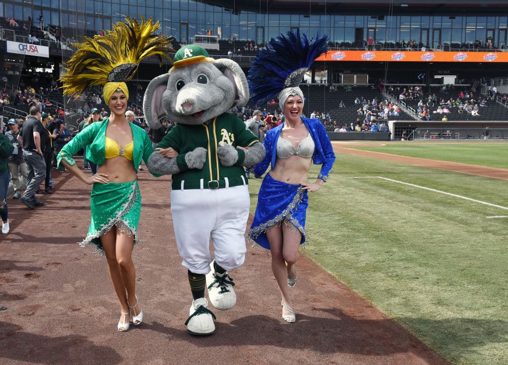 Los equipos de la MLB hacen pretemporada y nos han dejado estas grandes postales para los amantes del Béisbol.