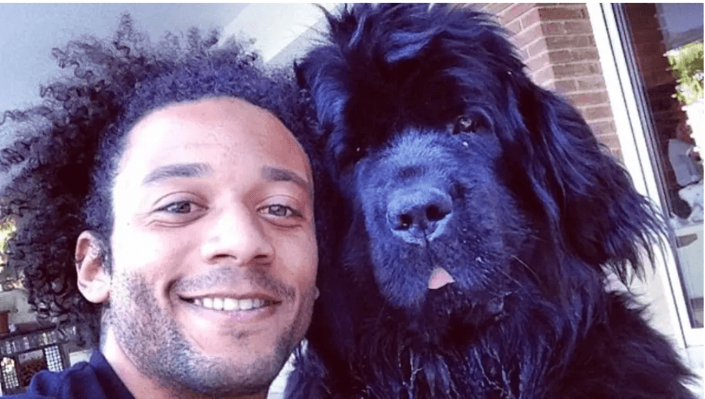 Marcelo | Futbolista