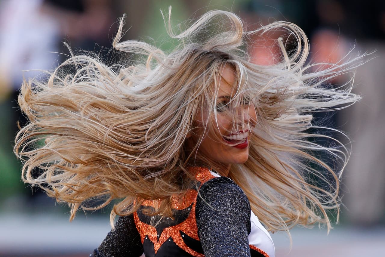 De los ocho equipos de la NFL en la Ronda de Comodines, Bengals, Texans, Chiefs, Vikings, Redskins y Seahawks tienen porristas y NFL.com/Español te regala un collage con las mejores imágenes de todas ellas. ¡Disfrútalo!