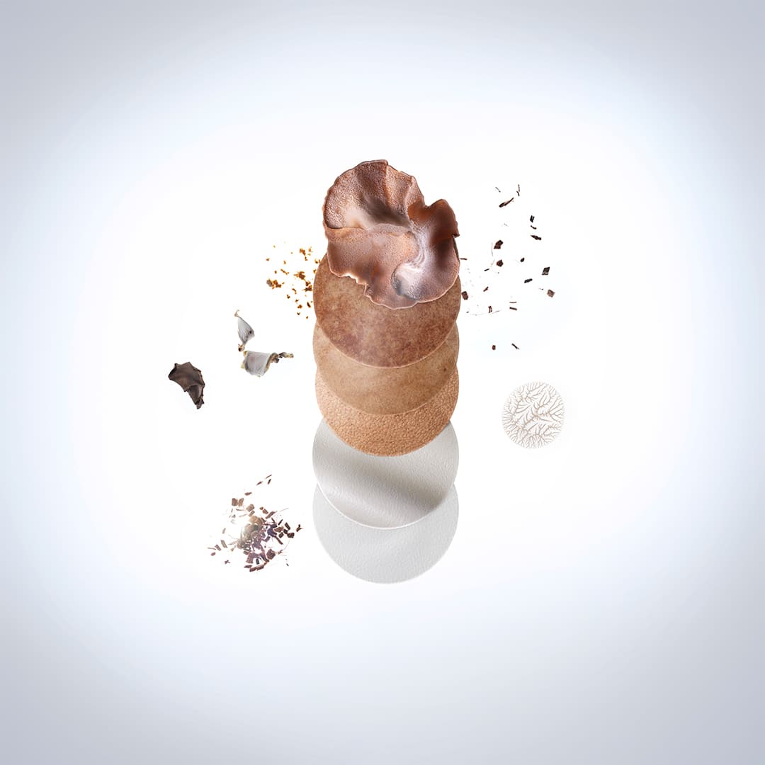 Esta colección incluye el Samba ($80usd) y el Continental 80 ($80usd), ambos en relieve con el logo "Adidas Original Vegan".