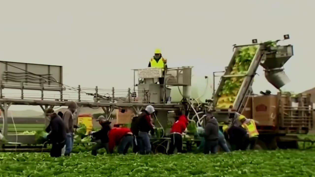 California cambia el día de César Chávez; jornaleras siguen callando el acoso sexual