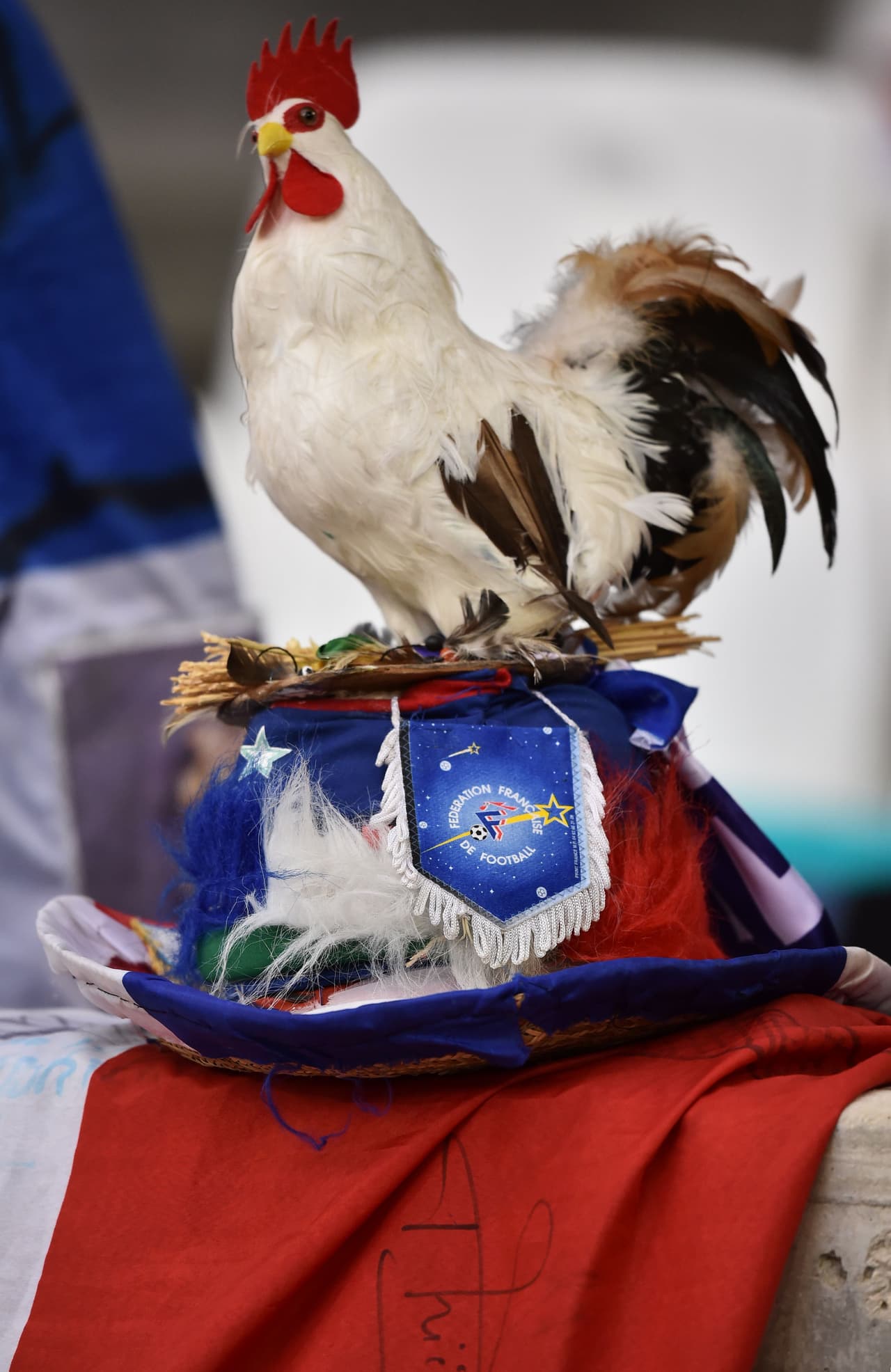 El gallo, símbolo galo.