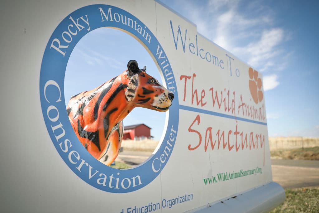 64 millones de vistas.
<br>