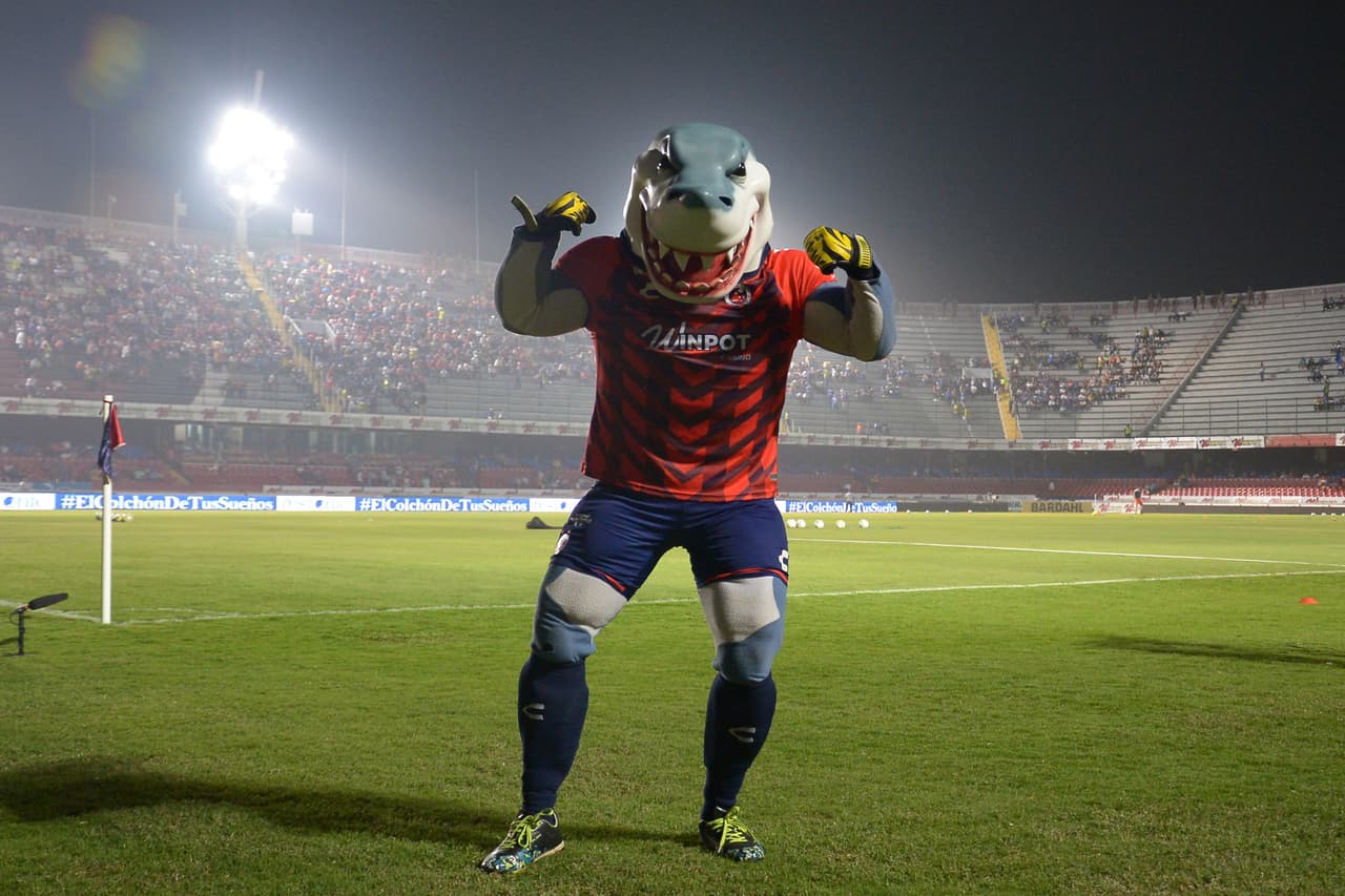 La mascota de Veracruz lista para el duelo contra Cruz Azul por la jornada 8 del 
<a href="https://www.univision.com/deportes/futbol/liga-mx/*">Clausura 2019</a>.