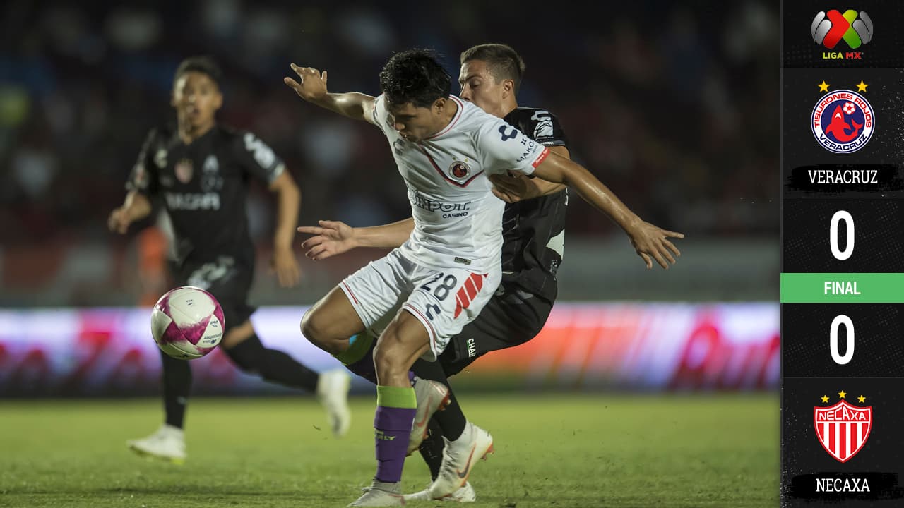 Los Tiburones reciben en el puerto a los Rayos.
