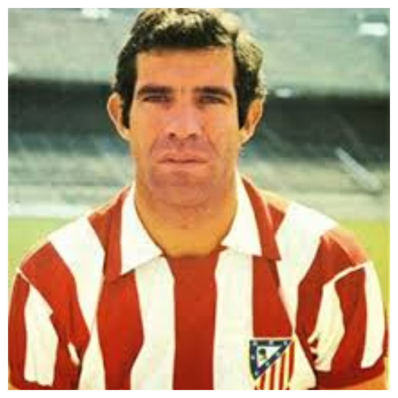 Luis Aragonés- Mediocampista
<br>
<br>En su etapa de jugador rojiblanco, Luis Aragonés (1964-74), ganó tres Ligas, dos Copas, Pichichi en 1970, y llegó a marcar en la final de la Copa de Europa ante el Bayern Munich. Lo que pocos saben es que antes de jugar en el Atlético, Aragonés había llegado fichado por el Real Madrid en 1958, procedente del Getafe, aunque nunca llegó a debutar con el primer equipo.