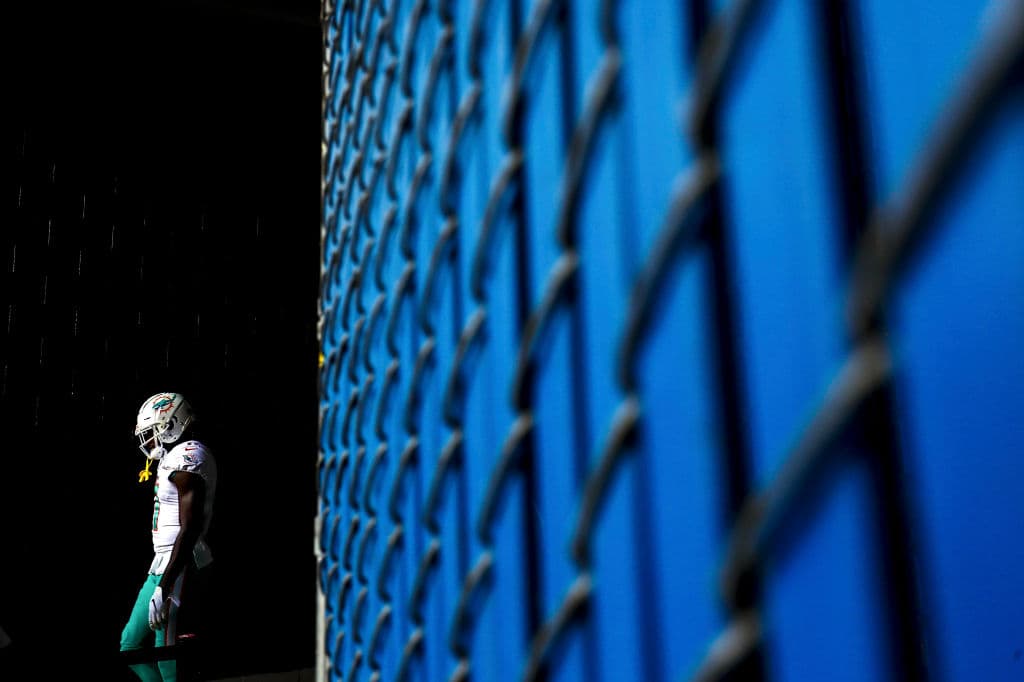 DeVante Parker de lo Miami Dolphins camina a través del túnel para enfrentar a los Pats.