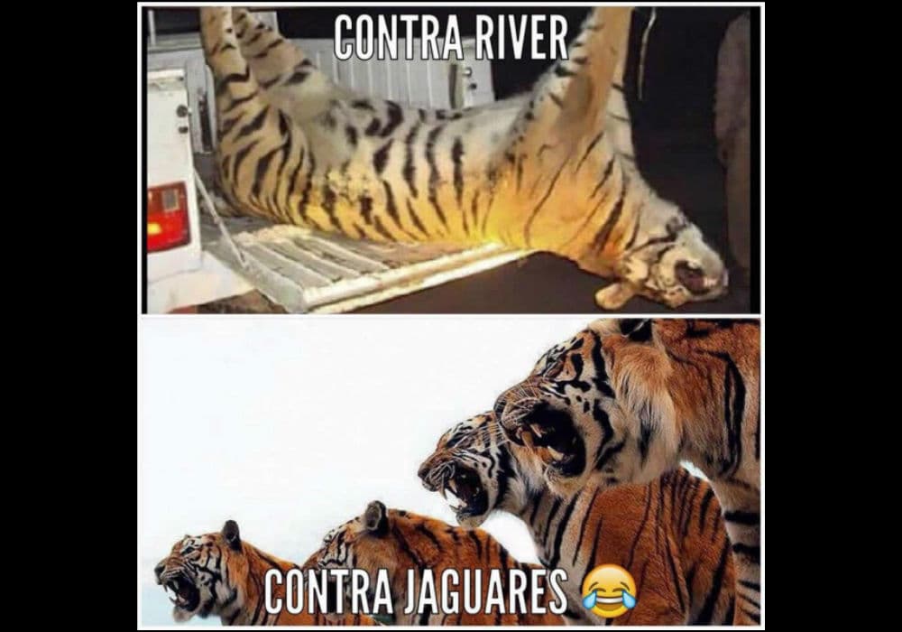 Los memes de la jornada 5 Apertura 2015